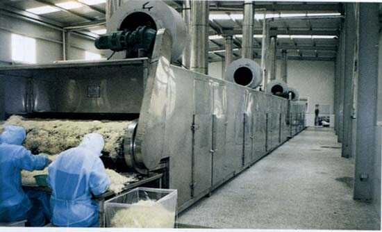 DWF系列氣流噴射式帶式干燥機(jī)